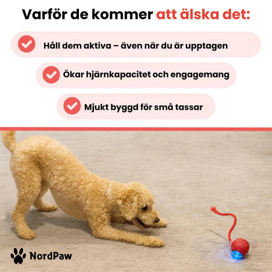 SvenskFashion™ - Speedy Tail 2.0