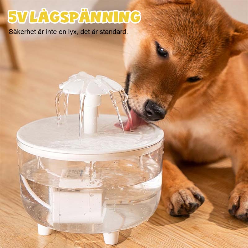 🐱 Bästa Vattendispenser för Katt 💧 | Cirkulerande Fontän med Djupfiltrering ✨