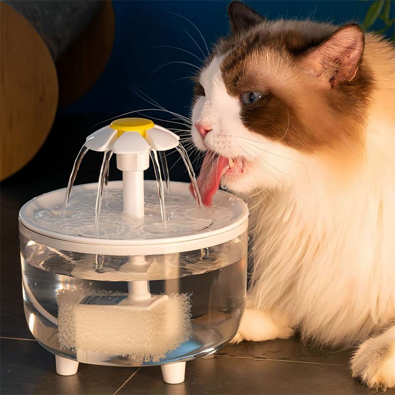 🐱 Bästa Vattendispenser för Katt 💧 | Cirkulerande Fontän med Djupfiltrering ✨