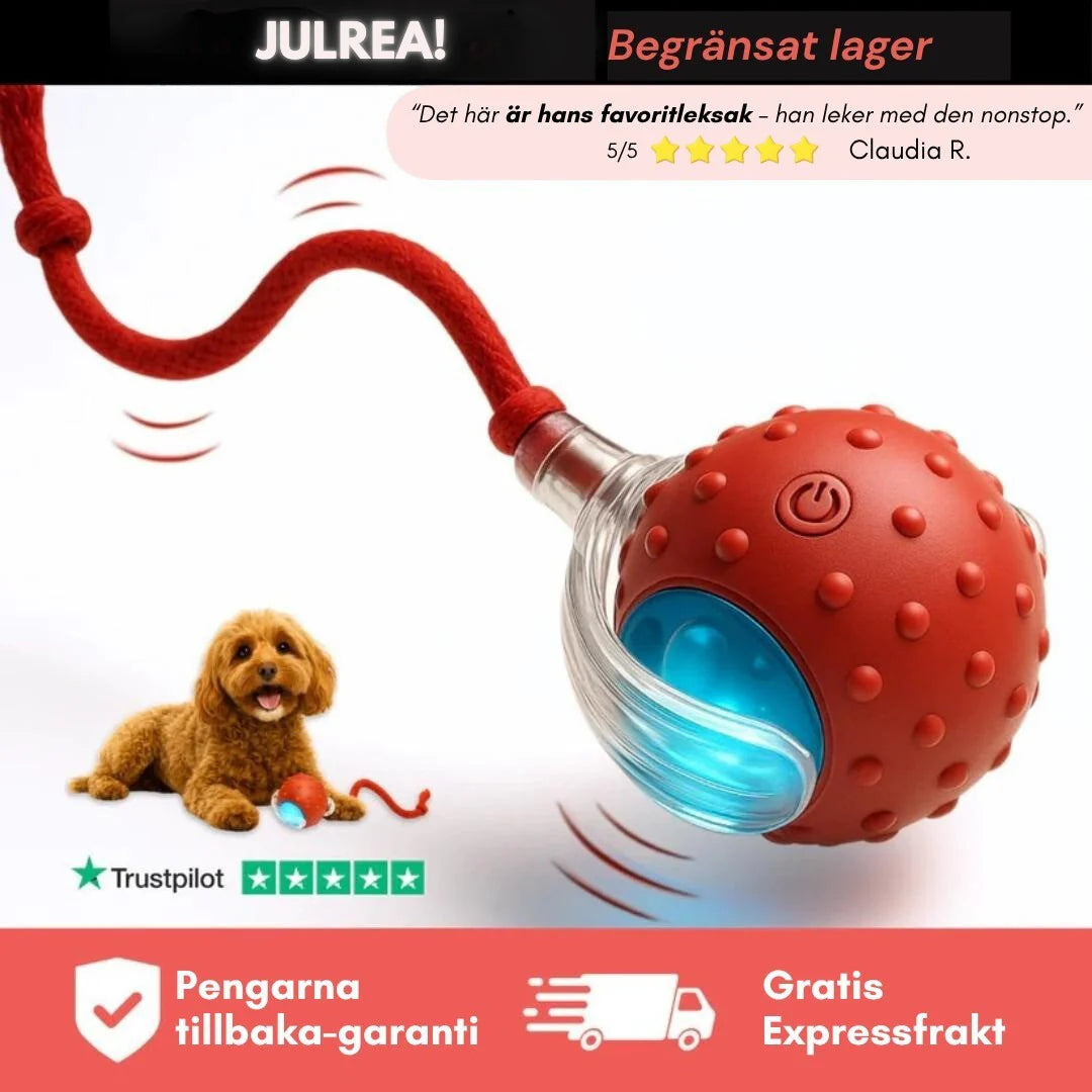 SvenskFashion™ - Speedy Tail 2.0