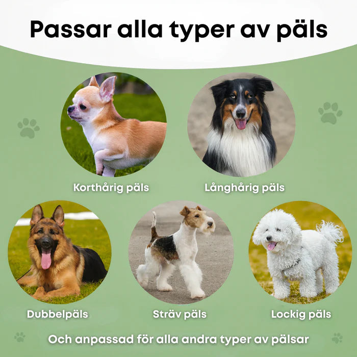 🐶 Hundborste som stoppar fällning och håller hemmet rent 🦴