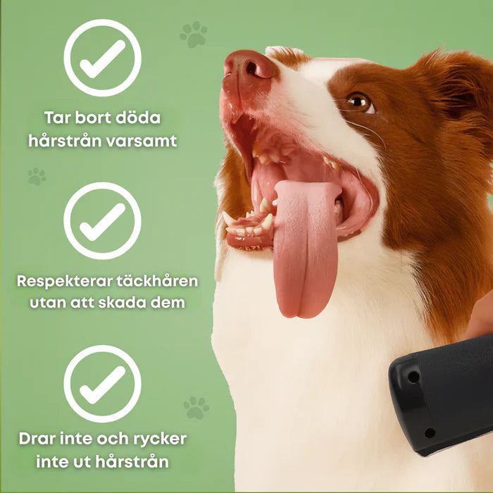 🐶 Hundborste som stoppar fällning och håller hemmet rent 🦴