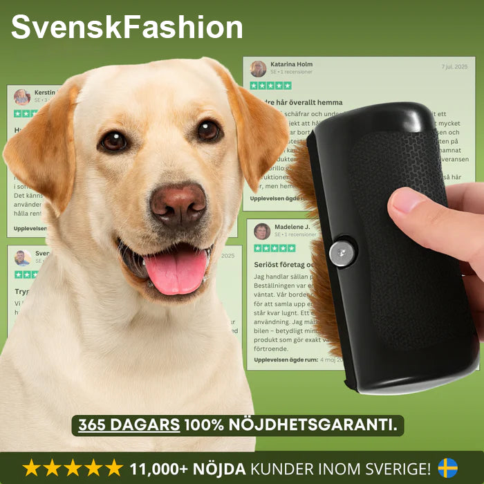 🐶 Hundborste som stoppar fällning och håller hemmet rent 🦴